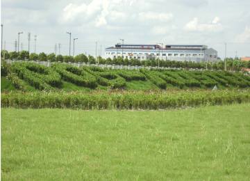 工廠綠化改造升級(jí)